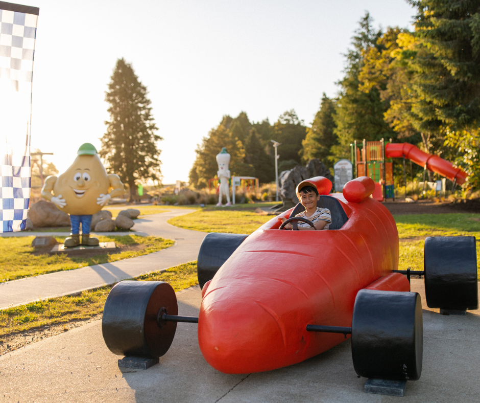 Carrotland Adventure Park Ohakune Blog 1 - Visit Ruapehu.png